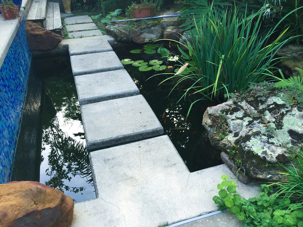 Floating Walkway in a Koi Pond