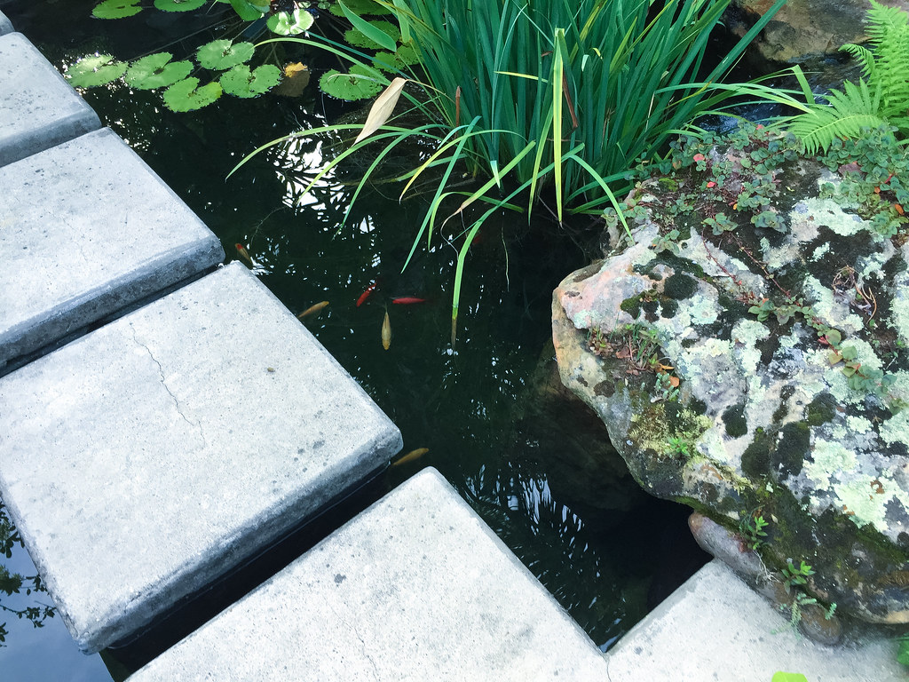 Floating Walkway in a Koi Pond